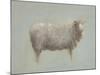 Sheep Strut III-null-Mounted Art Print
