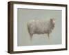 Sheep Strut III-null-Framed Art Print