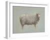 Sheep Strut III-null-Framed Art Print