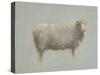 Sheep Strut III-null-Stretched Canvas