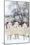 Sheep Texel Ewes in Snow Wearing Christmas Hats-null-Mounted Premium Photographic Print