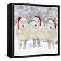 Sheep Texel Ewes in Snow Wearing Christmas Hats-null-Framed Stretched Canvas