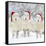 Sheep Texel Ewes in Snow Wearing Christmas Hats-null-Framed Stretched Canvas