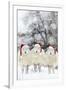 Sheep Texel Ewes in Snow Wearing Christmas Hats-null-Framed Photographic Print
