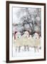 Sheep Texel Ewes in Snow Wearing Christmas Hats-null-Framed Photographic Print