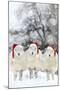 Sheep Texel Ewes in Snow Wearing Christmas Hats-null-Mounted Photographic Print