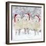 Sheep Texel Ewes in Snow Wearing Christmas Hats-null-Framed Photographic Print