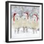 Sheep Texel Ewes in Snow Wearing Christmas Hats-null-Framed Photographic Print