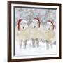 Sheep Texel Ewes in Snow Wearing Christmas Hats-null-Framed Photographic Print