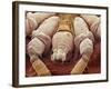 Sheep Tick, SEM-Steve Gschmeissner-Framed Photographic Print