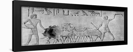 Sheep Treading in Seed, Ancient Egyptian Tomb Relief Carving, C2000 Bc-null-Framed Giclee Print