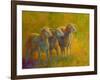 Sheep Trio-Marion Rose-Framed Giclee Print