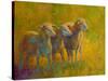 Sheep Trio-Marion Rose-Stretched Canvas