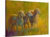 Sheep Trio-Marion Rose-Stretched Canvas