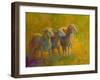 Sheep Trio-Marion Rose-Framed Giclee Print