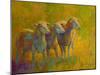 Sheep Trio-Marion Rose-Mounted Giclee Print