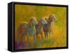 Sheep Trio-Marion Rose-Framed Stretched Canvas
