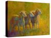 Sheep Trio-Marion Rose-Stretched Canvas