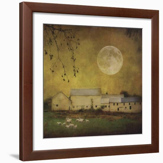 Sheep Under a Harvest Moon-Dawne Polis-Framed Giclee Print