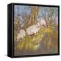 Sheep Up the Bank, North Wales-Diana Armfield-Framed Stretched Canvas