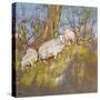 Sheep Up the Bank, North Wales-Diana Armfield-Stretched Canvas