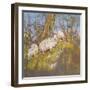 Sheep Up the Bank, North Wales-Diana Armfield-Framed Giclee Print