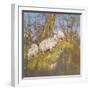 Sheep Up the Bank, North Wales-Diana Armfield-Framed Giclee Print