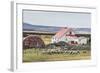 Sheep Waiting to Be Shorn at Long Island Sheep Farms, Outside Stanley, Falkland Islands-Michael Nolan-Framed Photographic Print