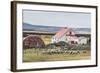 Sheep Waiting to Be Shorn at Long Island Sheep Farms, Outside Stanley, Falkland Islands-Michael Nolan-Framed Photographic Print