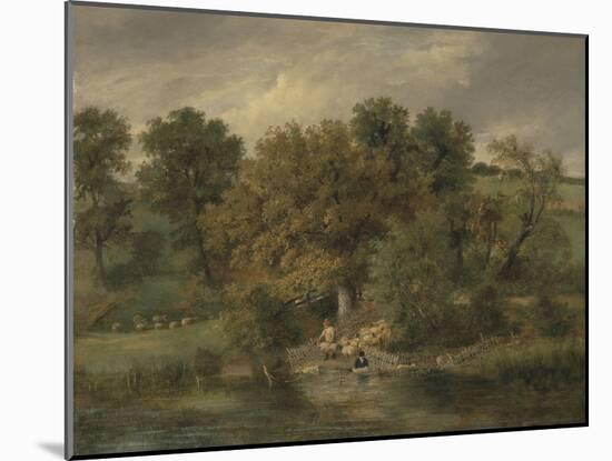 Sheep Washing at Postwick Grove, Norwich, C.1822-James Stark-Mounted Giclee Print