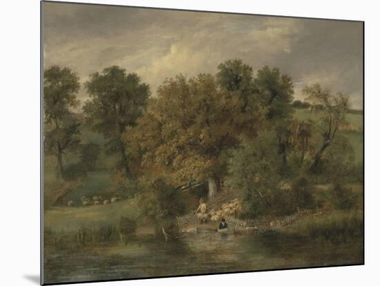 Sheep Washing at Postwick Grove, Norwich, C.1822-James Stark-Mounted Giclee Print