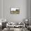 Sheep Washing, West Malvern-David Bates-Framed Stretched Canvas displayed on a wall