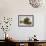 Sheep Washing-Henry John Boddington-Framed Giclee Print displayed on a wall
