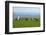 Sheep with Cuckmere Haven in the Background, East Sussex, England, United Kingdom, Europe-Neil Farrin-Framed Photographic Print