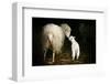 Sheep With Lamb in a Barn-null-Framed Art Print