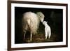 Sheep With Lamb in a Barn-null-Framed Art Print