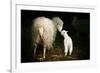 Sheep With Lamb in a Barn-null-Framed Art Print