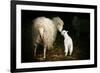 Sheep With Lamb in a Barn-null-Framed Art Print