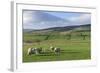 Sheep with Lambs in Fields Below the High Pennines, Eden Valley, Cumbria, England-James Emmerson-Framed Photographic Print