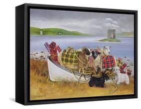 Sheep with Tartan, 1999-E.B. Watts-Framed Stretched Canvas