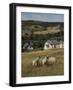 Sheep, Woodmancote Village Viewed from Cleeve Hill, the Cotswolds, Gloucestershire, England-David Hughes-Framed Photographic Print