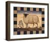 Sheep-Diane Ulmer Pedersen-Framed Art Print