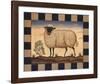 Sheep-Diane Ulmer Pedersen-Framed Art Print