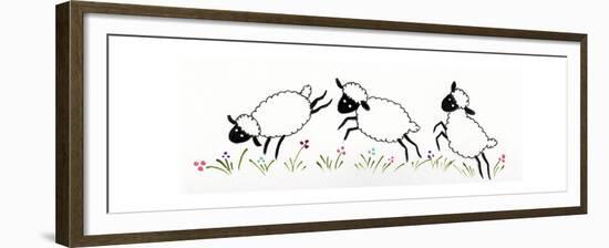 Sheep-Beverly Johnston-Framed Giclee Print