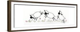 Sheep-Beverly Johnston-Framed Giclee Print