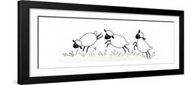 Sheep-Beverly Johnston-Framed Giclee Print