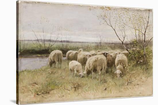 Sheep-Francois Pieter Ter Meulen-Stretched Canvas