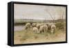 Sheep-Francois Pieter Ter Meulen-Framed Stretched Canvas