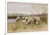 Sheep-Francois Pieter Ter Meulen-Framed Giclee Print