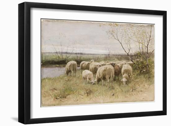 Sheep-Francois Pieter Ter Meulen-Framed Giclee Print